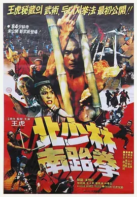 南北少林海报