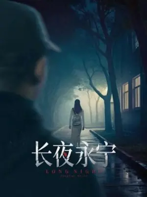长夜永宁海报