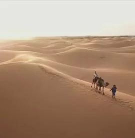 背游摩洛哥(粤语)海报