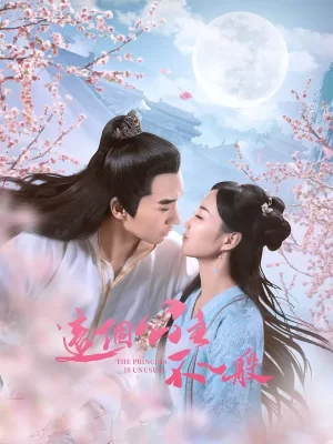 这个公主不一般海报