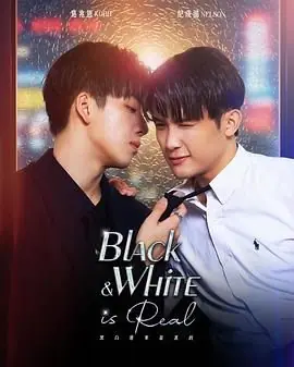 黑白原来是真的海报
