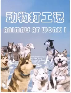 动物打工记第二季海报