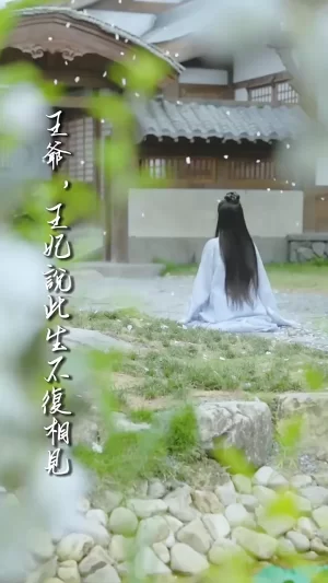 王爷,王妃说此生不复相见海报