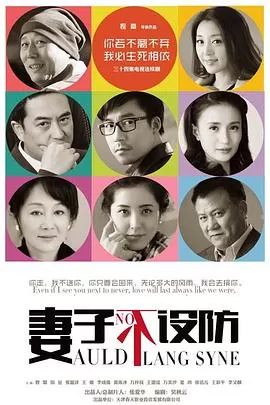 妻子不设防[电影解说]海报