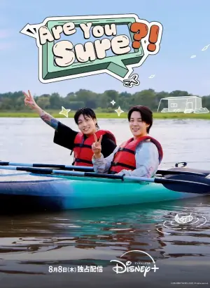 你确定吗?!海报