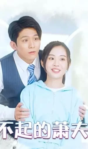 了不起的萧夫人海报