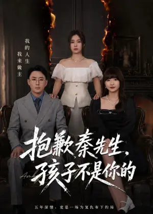 抱歉秦先生,孩子不是你的海报