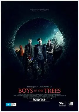 树中的男孩海报