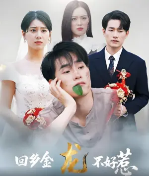 回乡金龙不好惹海报
