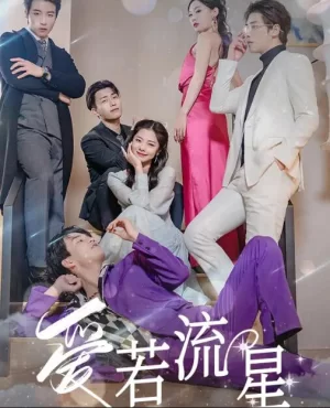 爱若流星海报