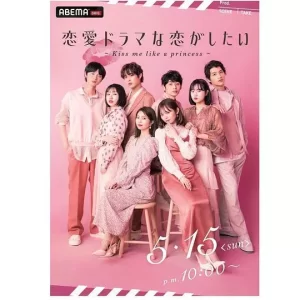 想谈一场偶像剧般的恋爱第九季海报