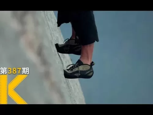 最硬核的奥斯卡最佳:要么登顶,要么死<徒手攀岩>看电影了没海报