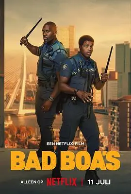 凹凸双雄BadBoa's海报