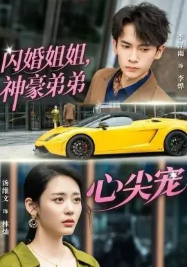 闪婚姐姐,神豪弟弟心尖宠海报