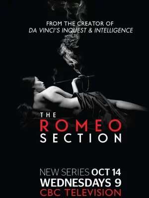 罗密欧间谍第一季海报