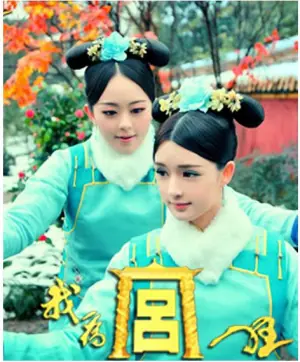 我为宫狂海报