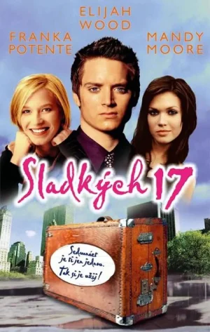 十七岁初体验海报