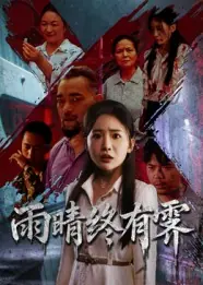 雨晴终有霁海报
