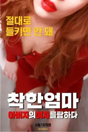 善良妈妈贪图父亲的女人海报