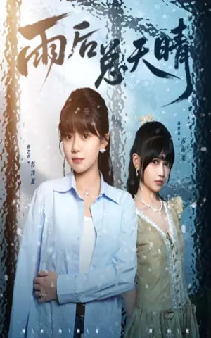 雨后总天晴海报