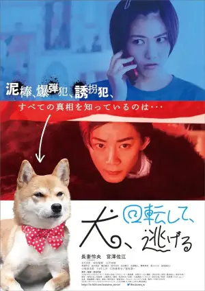 狗转了一圈逃跑了海报