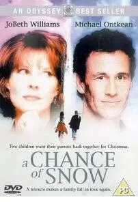 圣诞节的白雪海报