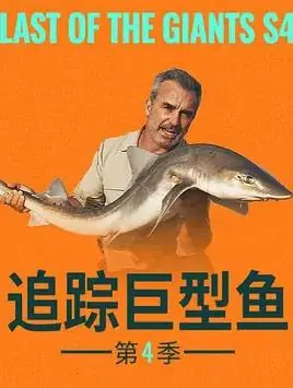 追踪巨型鱼第四季海报