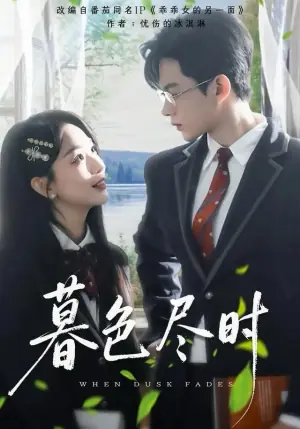 暮色尽时海报