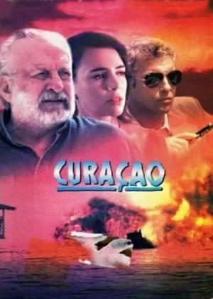 惊天行动(国语)海报