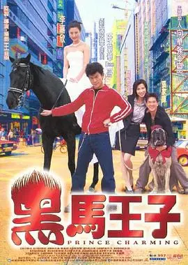 黑马王子(粤语)海报