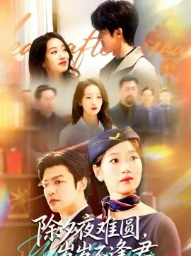 除夕夜难圆,岁岁不逢君海报