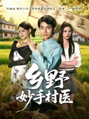 乡野妙手村医海报