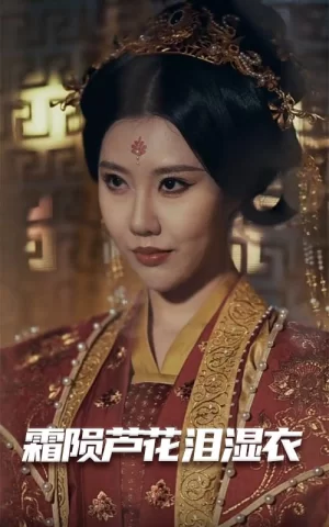霜陨芦花泪湿衣海报