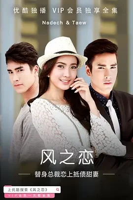 风之恋海报