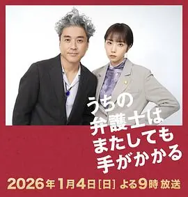 我家的律师又惹麻烦了海报