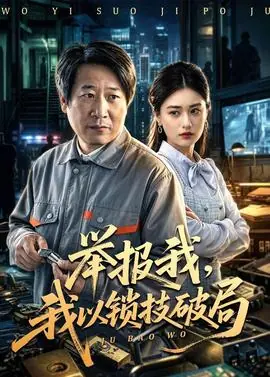 举报我,我以锁技破局海报