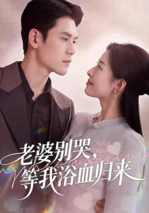 老婆别哭,等我浴血归来海报