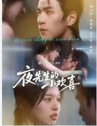 夜先生的小欢喜海报
