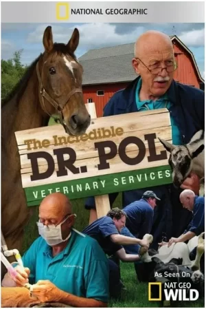 动物神医第三季海报