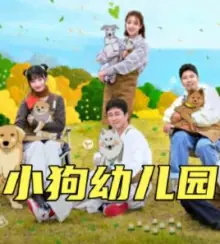 小狗幼儿园海报