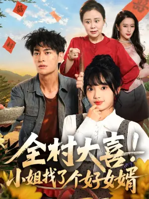 全村大喜!小姐找了个好女婿海报