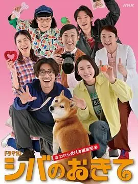 柴犬的规矩我们这群狗痴编辑部海报