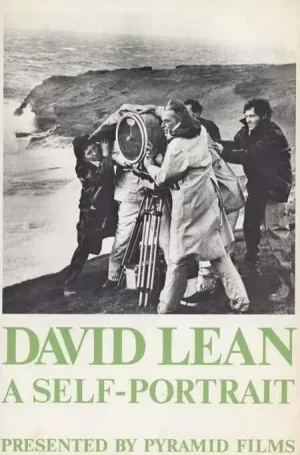 大卫·里恩:自画像海报