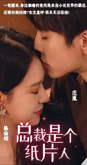 总裁是个纸片人海报