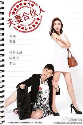 夫妻合伙人海报