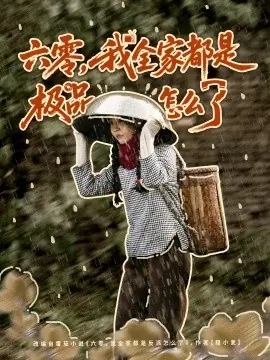 六零,我全家都是极品怎么了海报