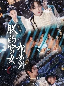 朕的宫女相当野海报