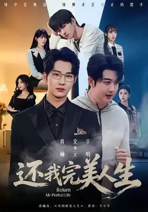 还我完美人生海报