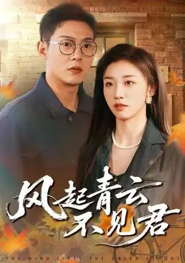 风起青云不见君海报