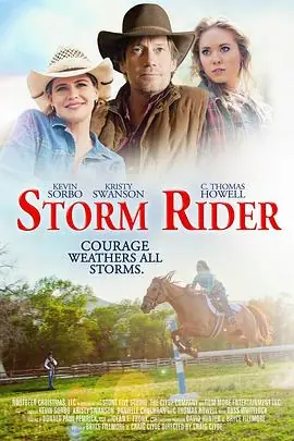 风雨骑手StormRider海报